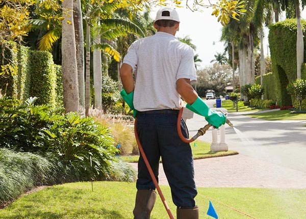 About Houston MO Pest Control